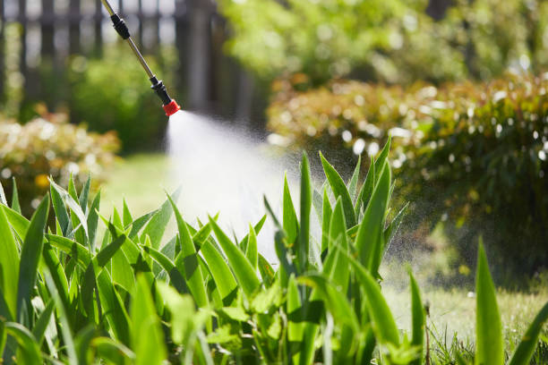 Tamper-Resistant Bait Stations for Rodents in Bogart