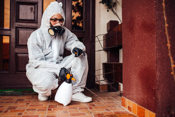 Attic and Crawl Space Rodent Treatment in Bogart