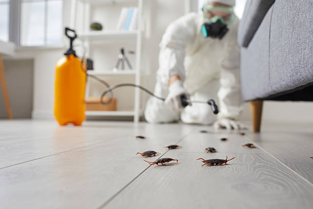 Commercial Rodent Management in Bogart